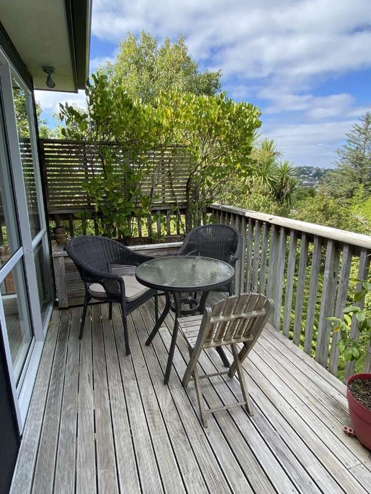 88B Carlisle Road Browns Bay_2