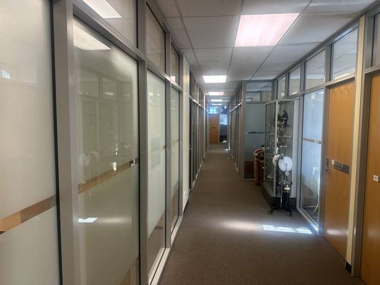 55 Hanover Street City Centre Dunedin_6