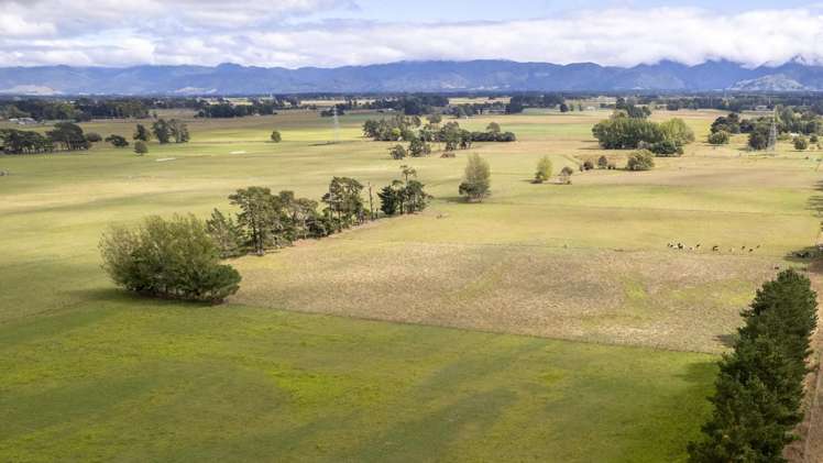 Cross Line Greytown_19