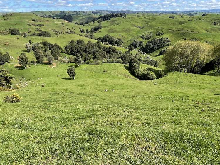 788 Troopers Road Te Kuiti_24