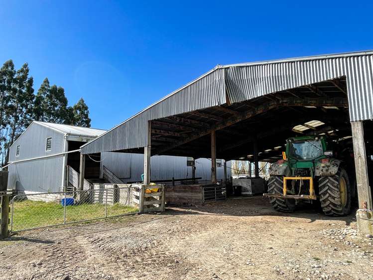 55 McGill Road Te Tipua_6