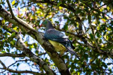 2261 Lake Brunner Road_2