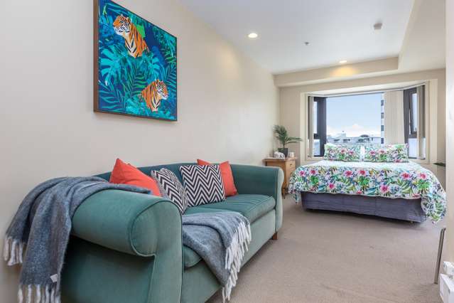 10e/2 Eden Crescent Auckland Central_3