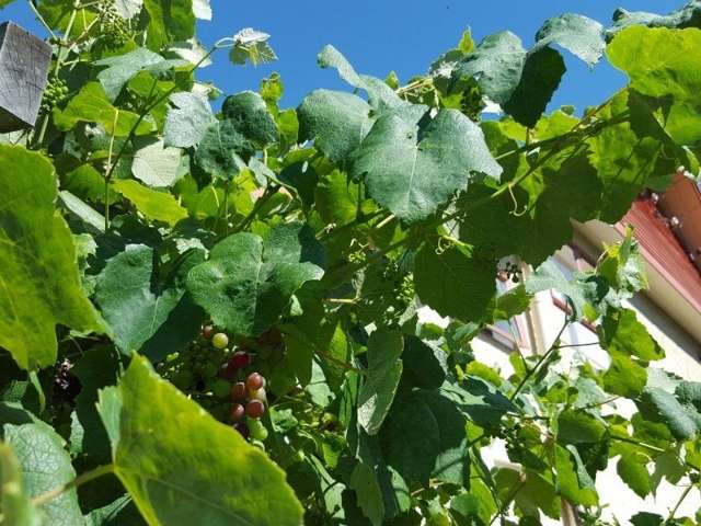 83 Bluff Rangitumau Road Rangitumau_1