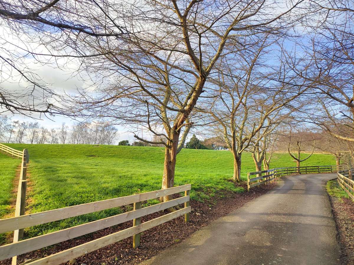 84 Overdale Road_3
