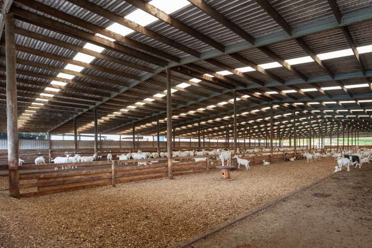 3160 Tahuna-Ohinewai Road Tahuna_18