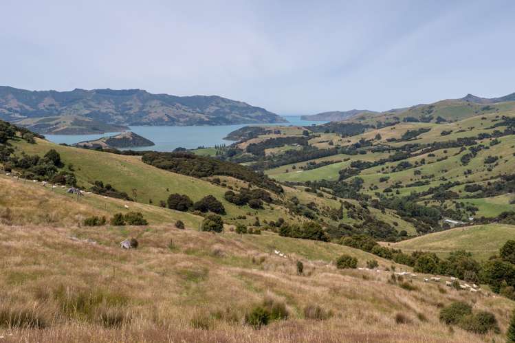 175 Barrys Bay Valley Road Barrys Bay_28