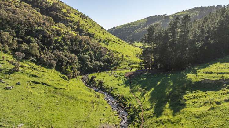 80-90 Seftons Road Little Akaloa_8