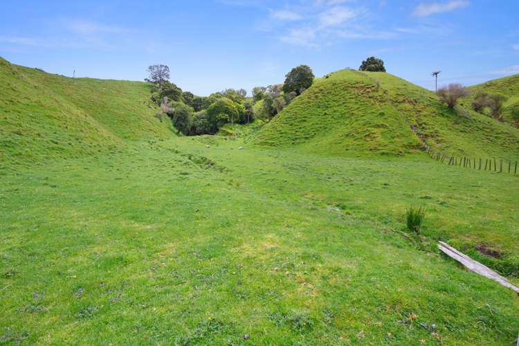 166 Airstrip Road Pikowai_34