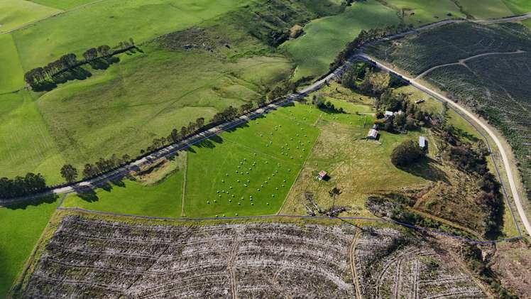 226 Mokoreta Tahakopa Road Wyndham_8