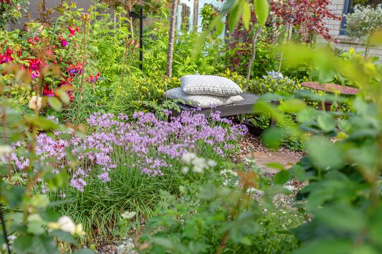 9 Parkwood Place Papamoa_3