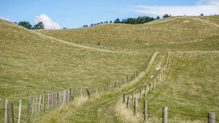 2586 State Highway 2 Maramarua_17