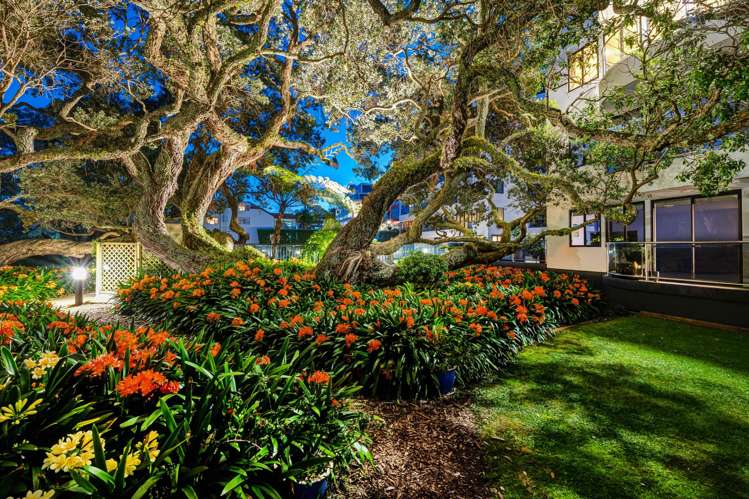 2C/5 The Promenade Takapuna_19
