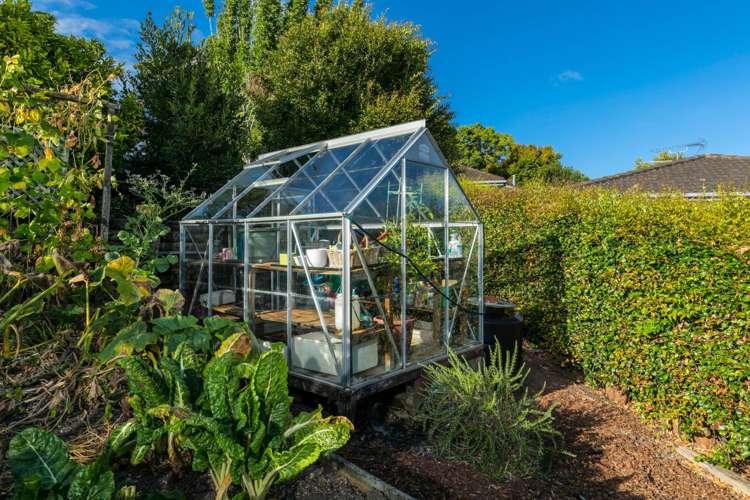 19 Tainui Street Torbay_13