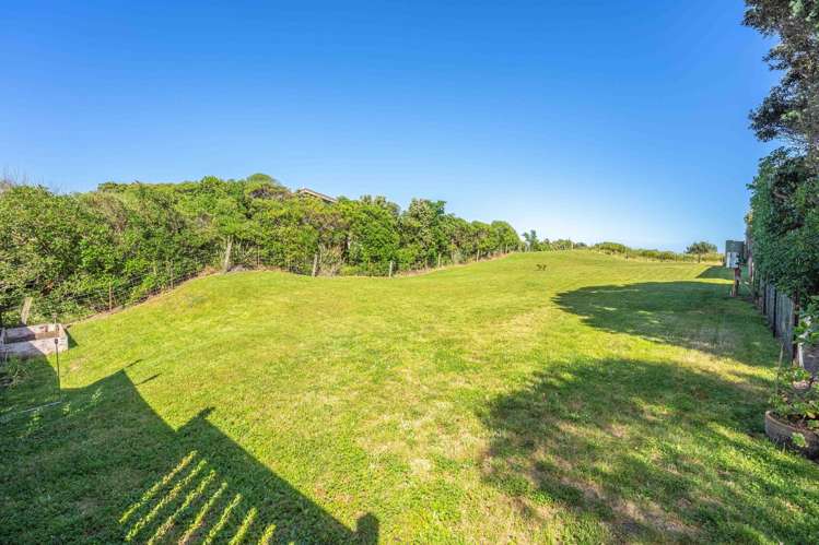 289 Peka Peka Road Peka Peka_14