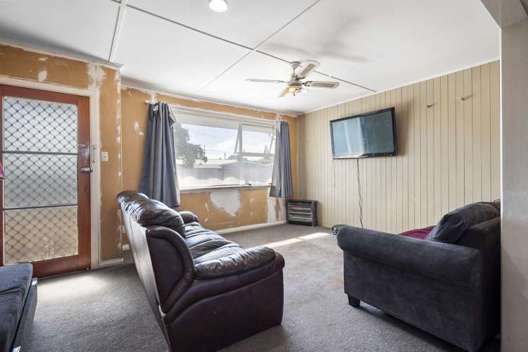 13 Flower Street Bulls_7