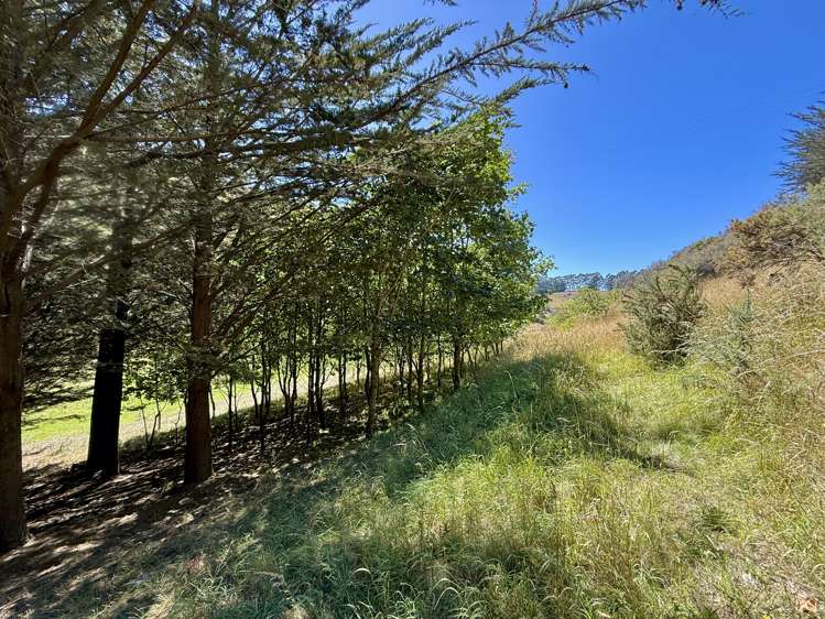 Lot 3 Fortification Road_5