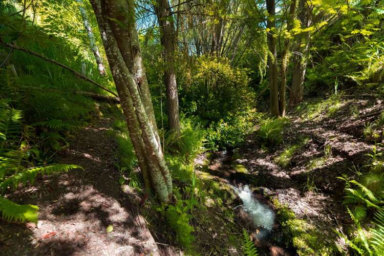 49 Hunter Road Speargrass Flat_10