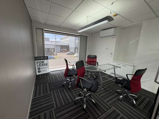 42 George Street Mount Eden_1