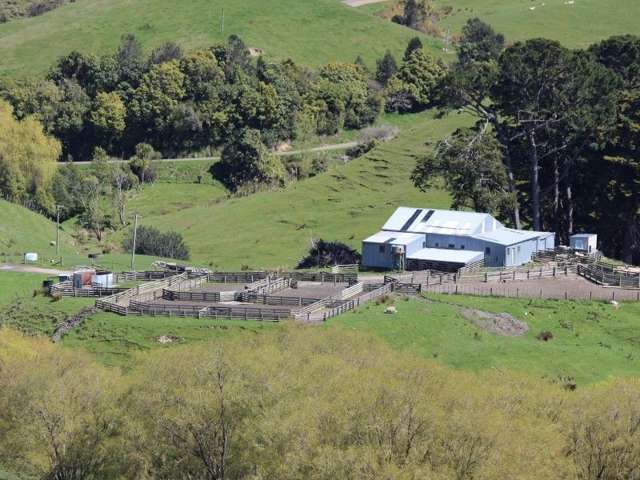 1072 Mangatuna Road Rangitikei Surrounds_1