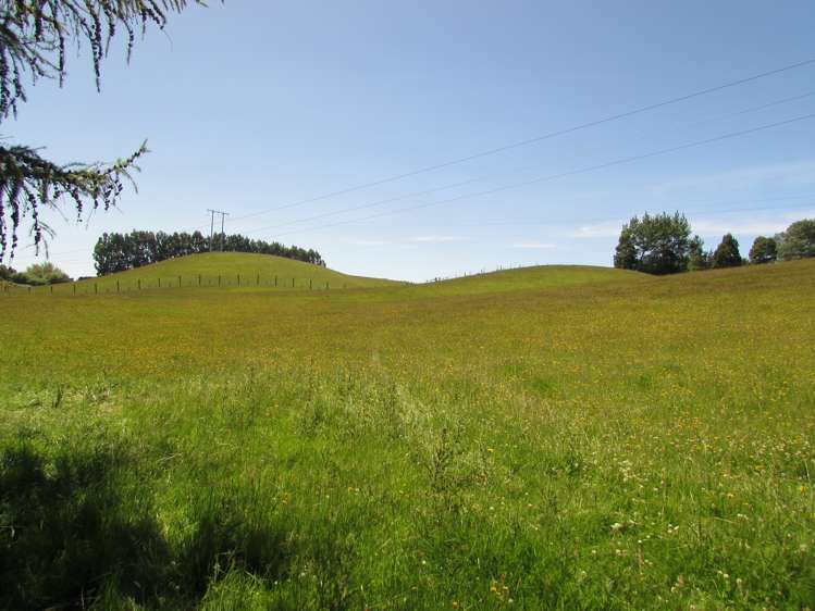 210 Terry Road Gore_5