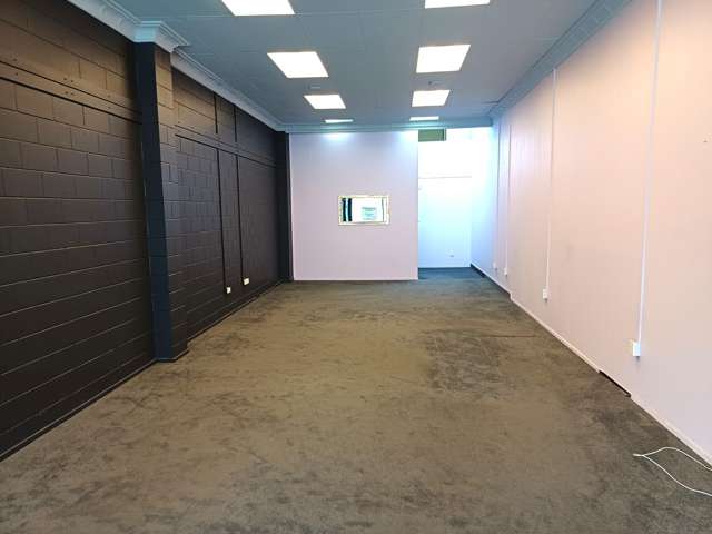 82 St Andrews Street Dunedin Central_1