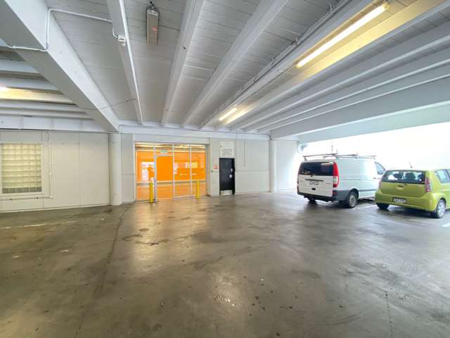 181 Khyber Pass Road Grafton_2