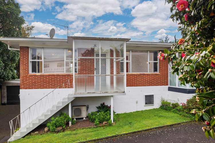 1/8A Allendale Road Mt Albert_20