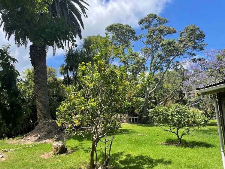 3483 Kaipara Coast Highway Glorit_6