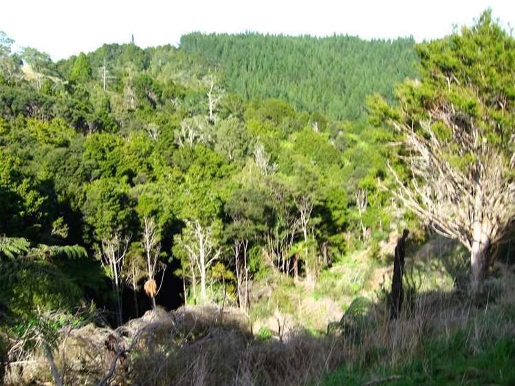 248 Swamp Road Mareretu_6