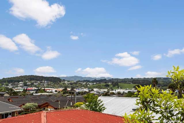 302A Upper Queen Street Pukekohe_2