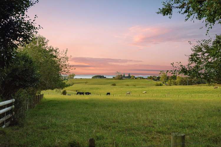 29 Bryant Road Karaka_33