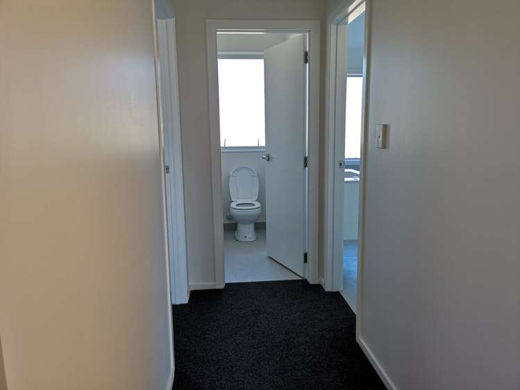 3 Pukeko Grove Cambridge_18