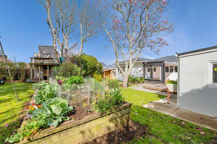 113 Govett Avenue Frankleigh Park_20