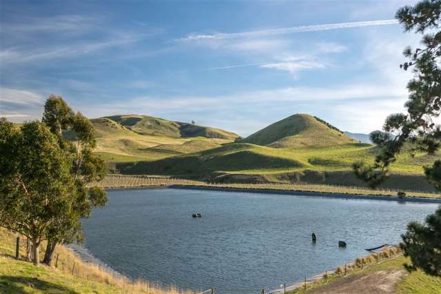 5468 State Highway 1 Seddon_4