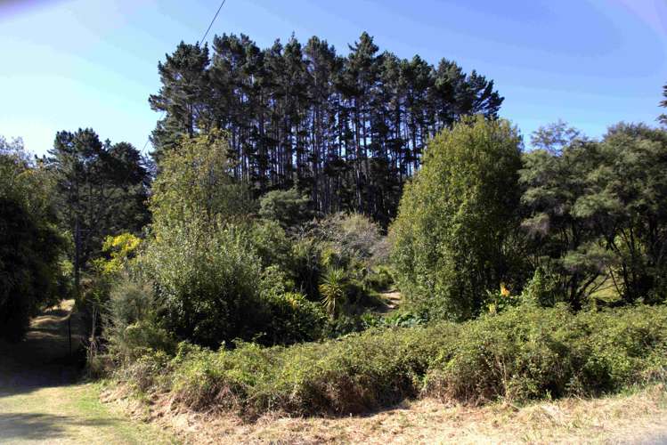 294 Foster Road Waimauku_19