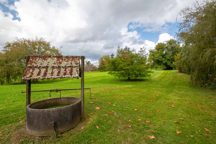 221 Blackbridge Road Dairy Flat_9