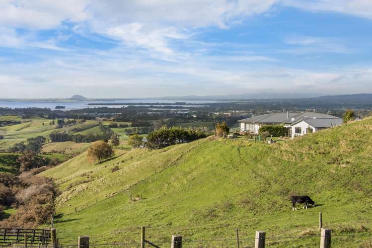 345A Lindemann Road Katikati_28