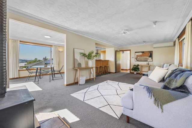 24 Pollock Street Maori Hill_3