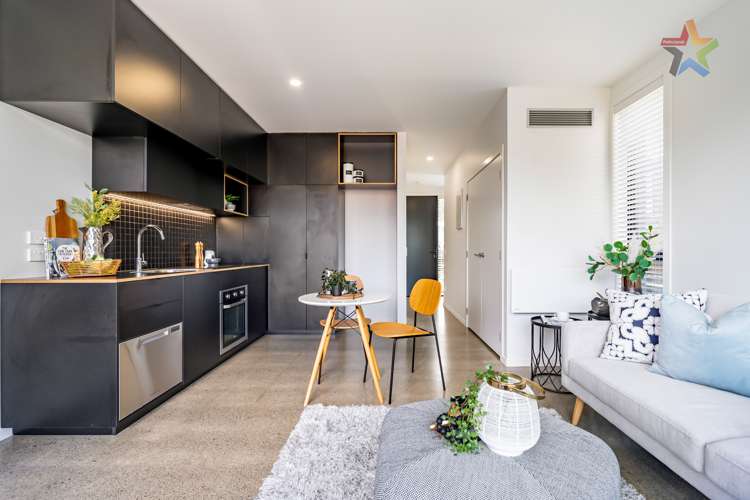 6 Te Ara O Paetutu Petone_9