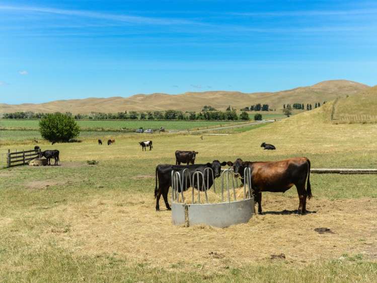 360 Valley Road Central Hawkes Bay Coastal_21