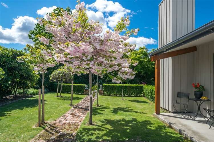 84a Colemans Road Springlands_19