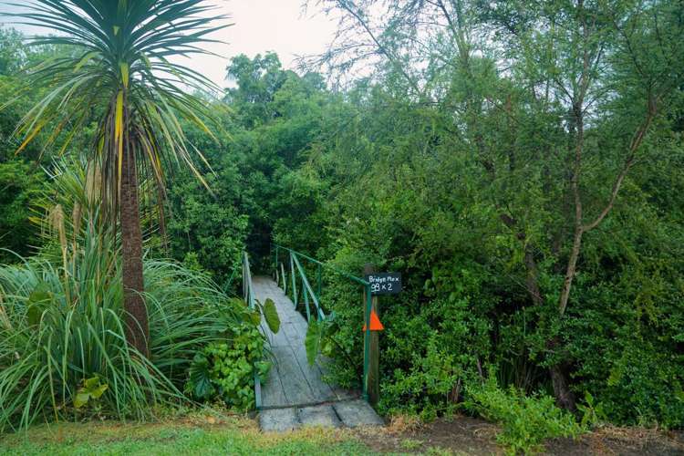 174D Lund Road Katikati_24