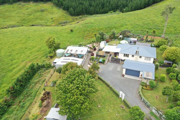 280 Dixon Road Te Akau_2