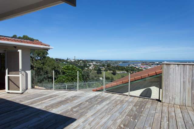 98 Mount View Road Bastia Hill_4