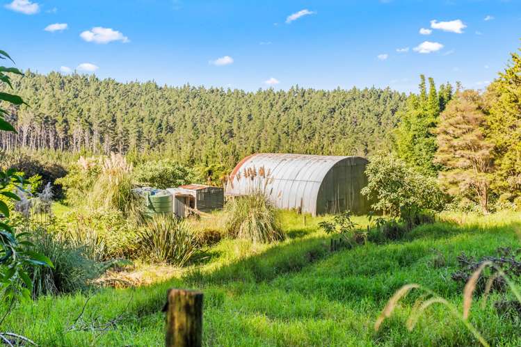 110 Whangape Track Road Broadwood_18