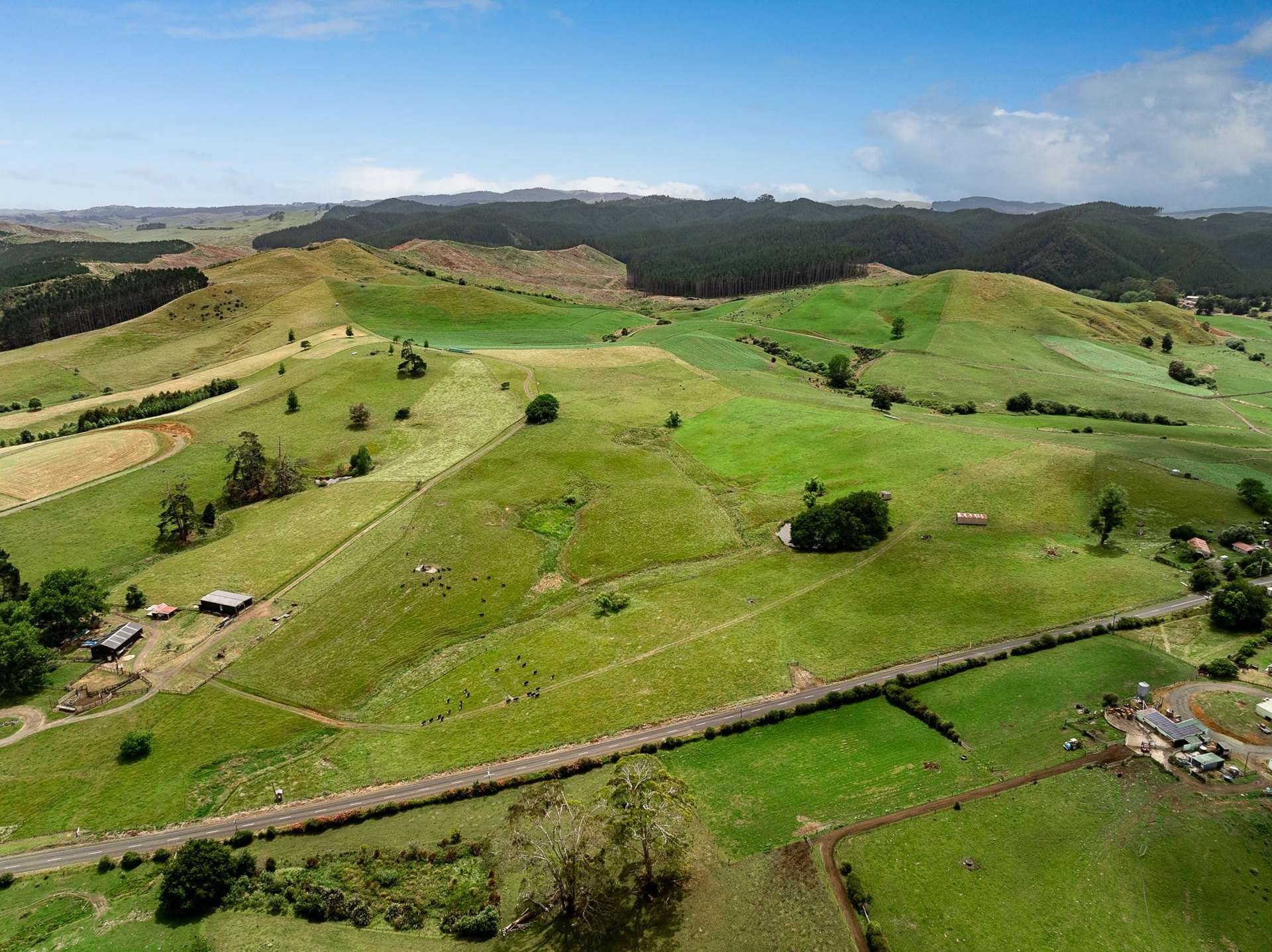 Kopuku Road Maramarua_0