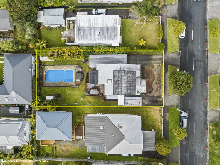 101 Huia Road Point Chevalier Auckland City Houses for Sale One