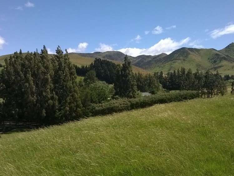 1092 The Peaks Road Hawarden_24