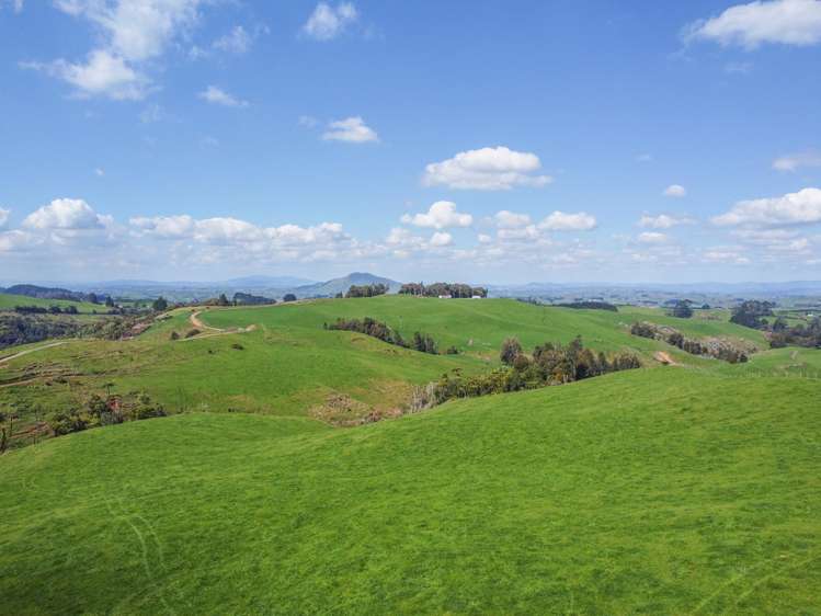 870 Mangati Road Pirongia_43